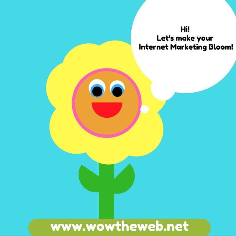 wow-the-web-internet-marketing-google-image